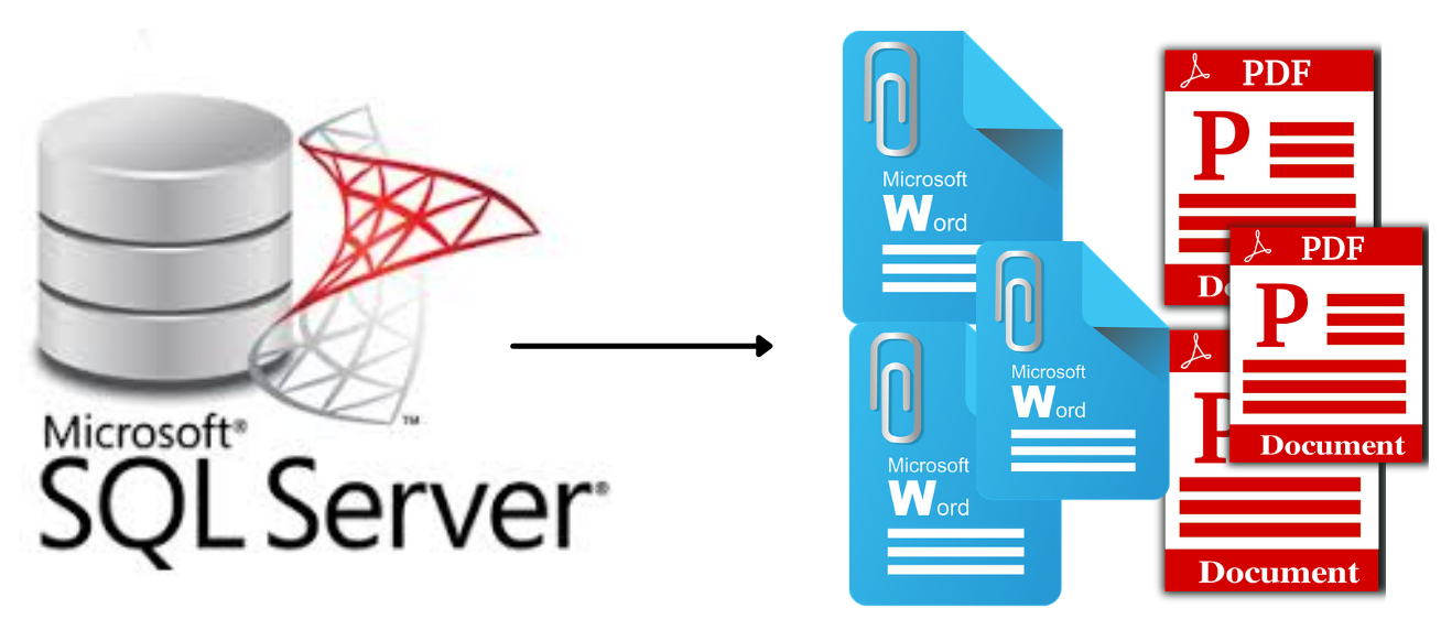 SQL Server to WOrd